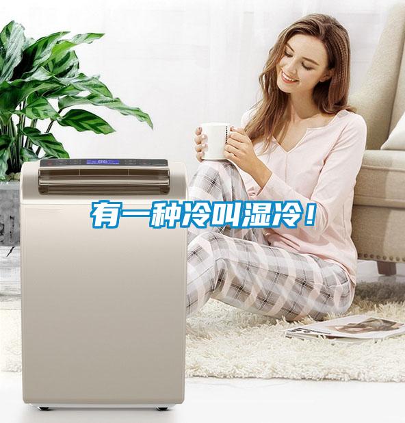 有一種冷叫濕冷！