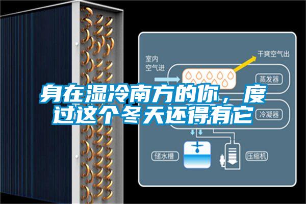 身在濕冷南方的你，度過這個冬天還得有它