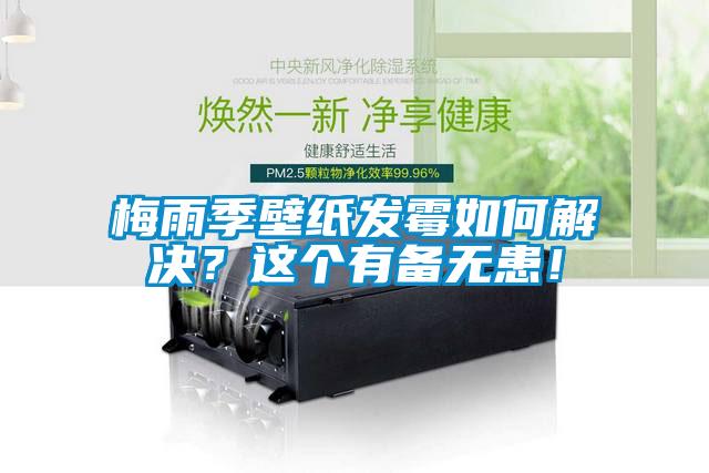 梅雨季壁紙發(fā)霉如何解決？這個有備無患！