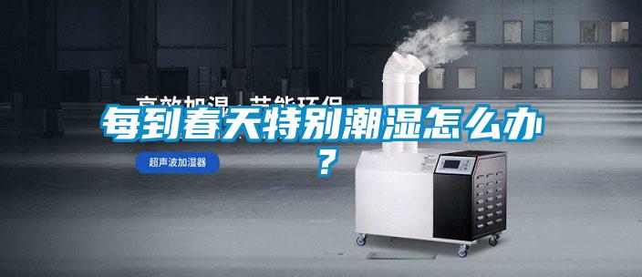 每到春天特別潮濕怎么辦？