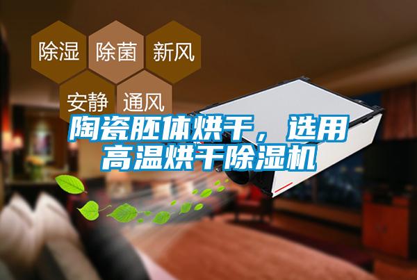 陶瓷胚體烘干，選用高溫烘干除濕機