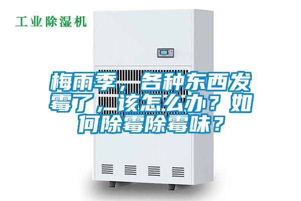 梅雨季，各種東西發(fā)霉了，該怎么辦？如何除霉除霉味？