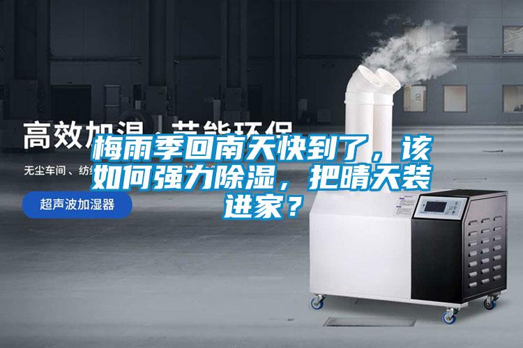 梅雨季回南天快到了，該如何強力除濕，把晴天裝進家？