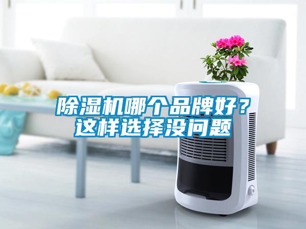除濕機(jī)哪個(gè)品牌好？這樣選擇沒(méi)問(wèn)題