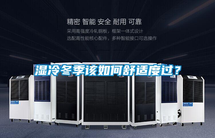 濕冷冬季該如何舒適度過(guò)？