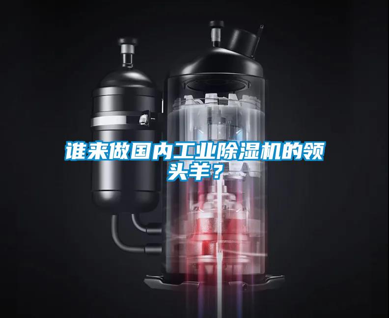 誰來做國內(nèi)工業(yè)除濕機(jī)的領(lǐng)頭羊？