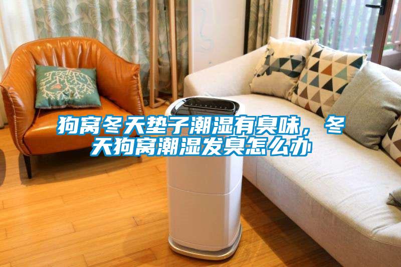 狗窩冬天墊子潮濕有臭味，冬天狗窩潮濕發(fā)臭怎么辦
