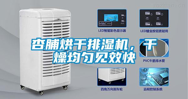 杏脯烘干排濕機，干燥均勻見效快