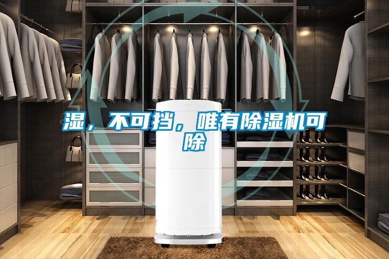 濕，不可擋，唯有除濕機(jī)可除