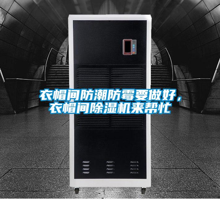 衣帽間防潮防霉要做好，衣帽間除濕機來幫忙