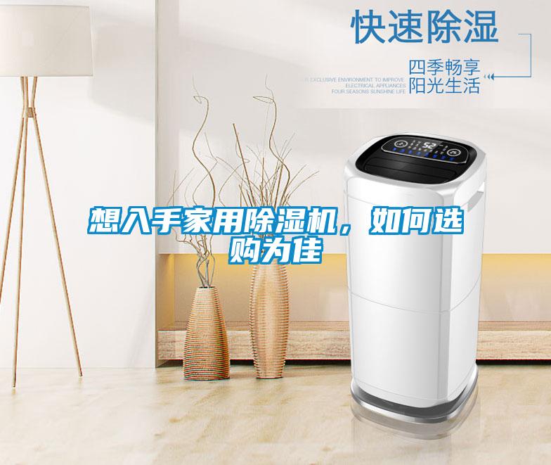 想入手家用除濕機，如何選購為佳