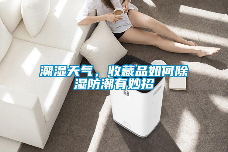 潮濕天氣，收藏品如何除濕防潮有妙招