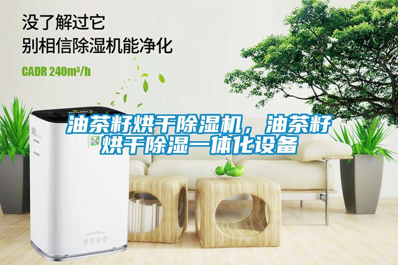 油茶籽烘干除濕機，油茶籽烘干除濕一體化設備