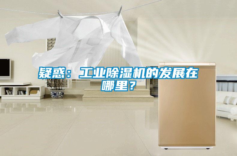 疑惑：工業(yè)除濕機(jī)的發(fā)展在哪里？