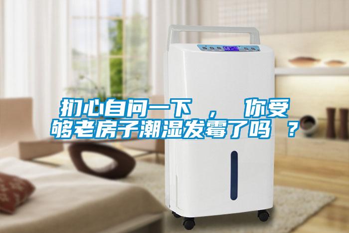 捫心自問一下 ， 你受夠老房子潮濕發(fā)霉了嗎 ？