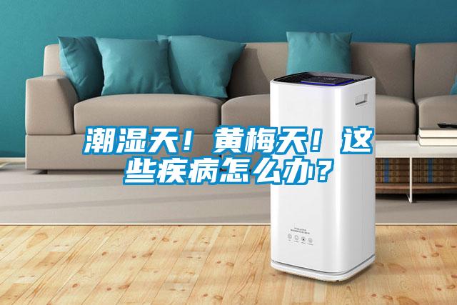 潮濕天！黃梅天！這些疾病怎么辦？