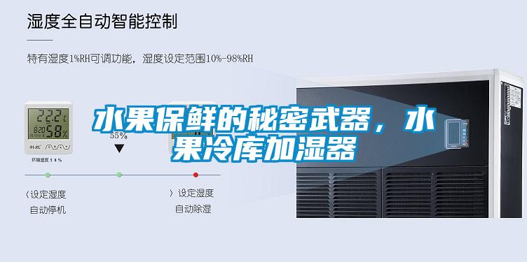 水果保鮮的秘密武器，水果冷庫加濕器