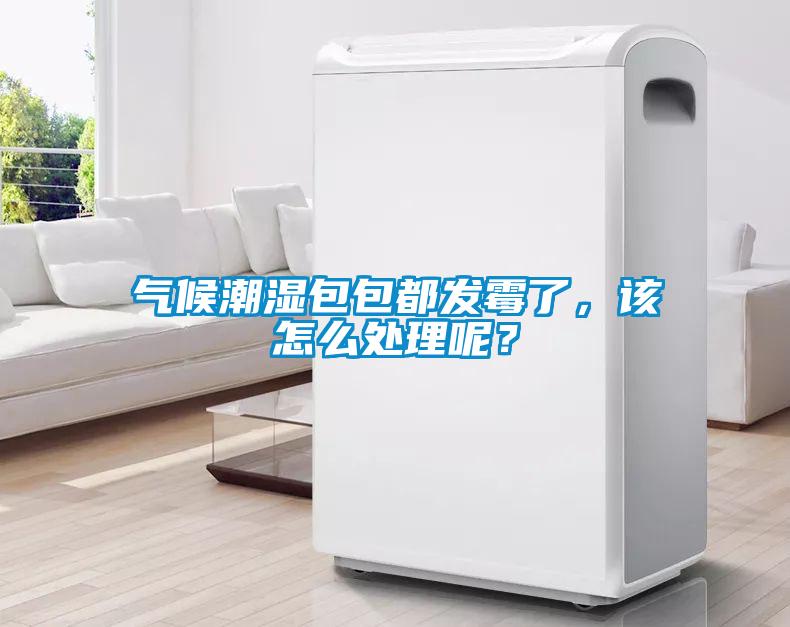 氣候潮濕包包都發(fā)霉了，該怎么處理呢？