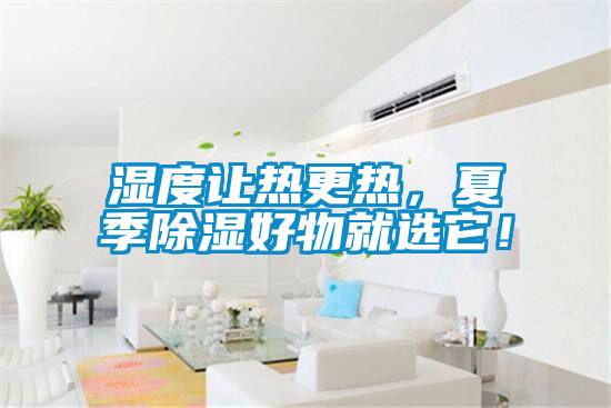 濕度讓熱更熱，夏季除濕好物就選它！