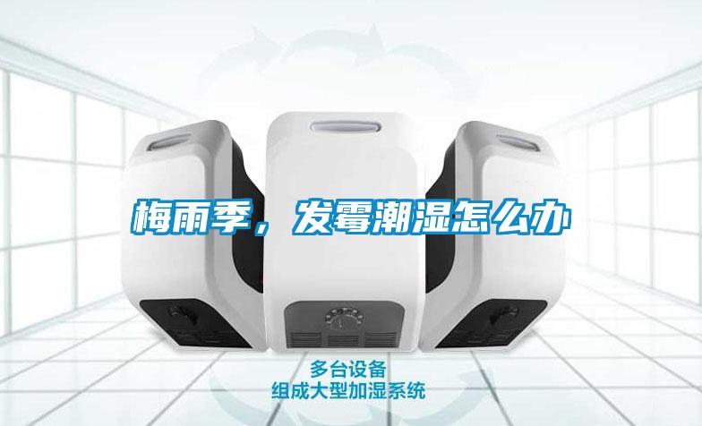 梅雨季，發(fā)霉潮濕怎么辦