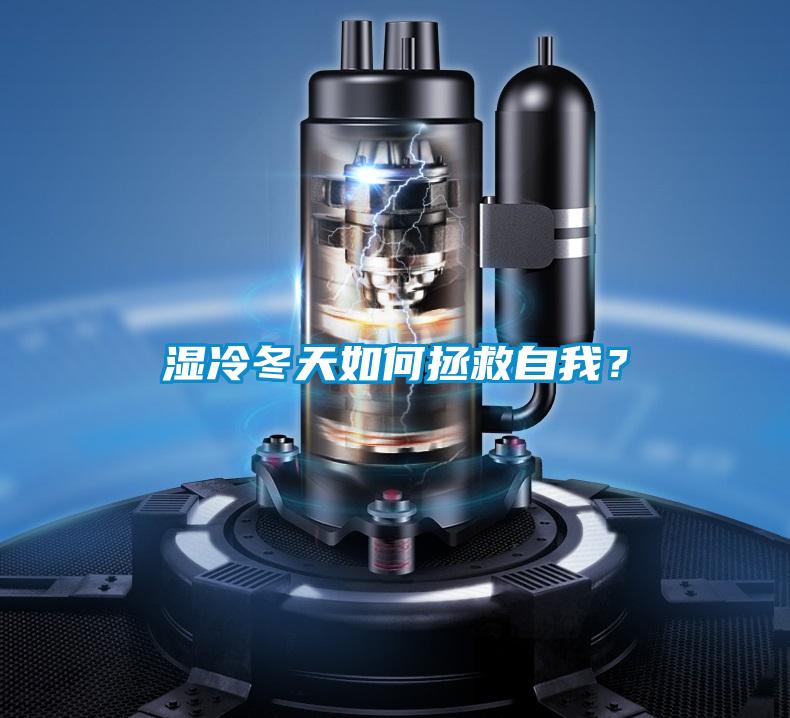 濕冷冬天如何拯救自我？