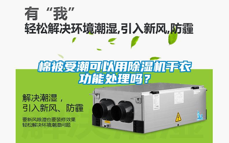 棉被受潮可以用除濕機(jī)干衣功能處理嗎？