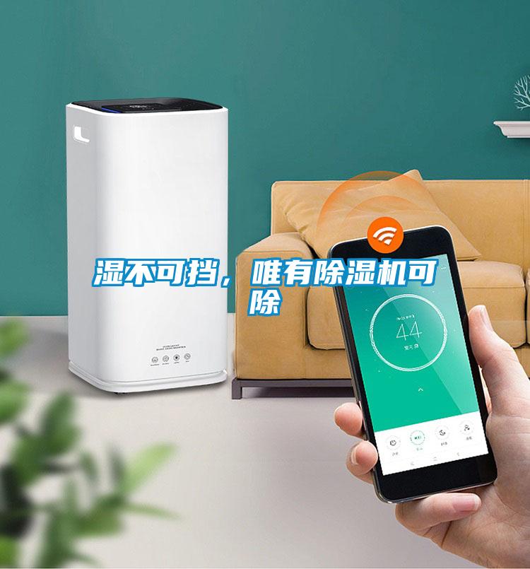濕不可擋，唯有除濕機可除