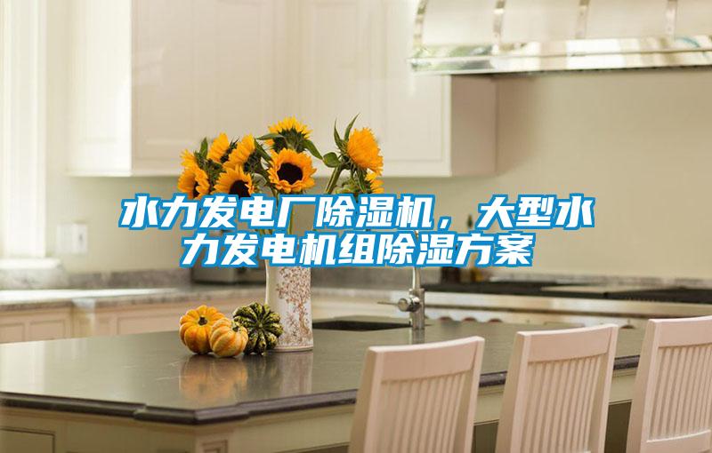 水力發(fā)電廠除濕機(jī)，大型水力發(fā)電機(jī)組除濕方案