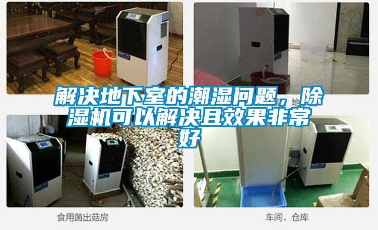 解決地下室的潮濕問題，除濕機可以解決且效果非常好