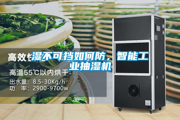 濕不可擋如何防，智能工業(yè)抽濕機(jī)