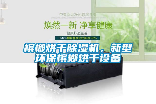 檳榔烘干除濕機，新型環(huán)保檳榔烘干設(shè)備