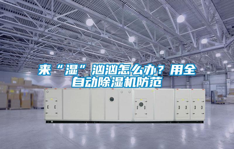 來“濕”洶洶怎么辦？用全自動除濕機(jī)防范