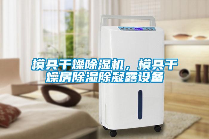 模具干燥除濕機，模具干燥房除濕除凝露設備