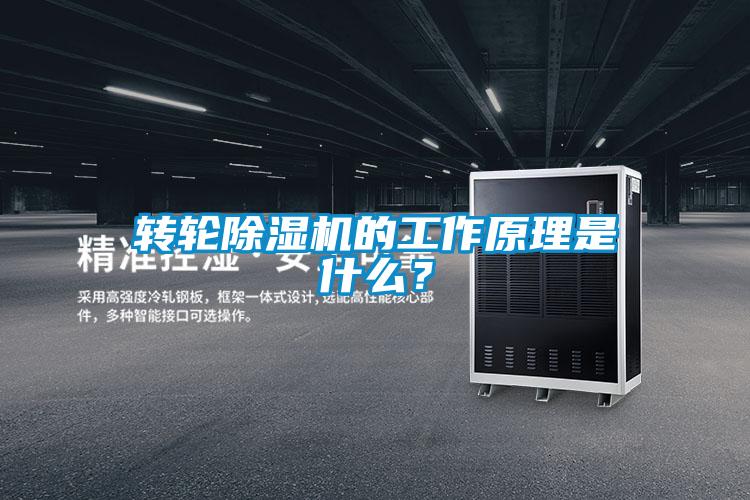 轉(zhuǎn)輪除濕機的工作原理是什么？