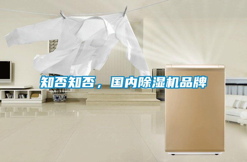 知否知否，國(guó)內(nèi)除濕機(jī)品牌