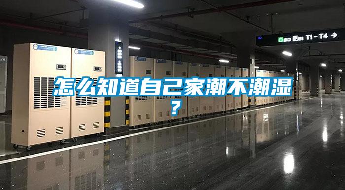 怎么知道自己家潮不潮濕？