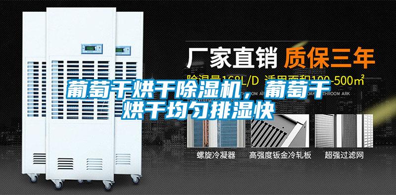 葡萄干烘干除濕機(jī)，葡萄干烘干均勻排濕快