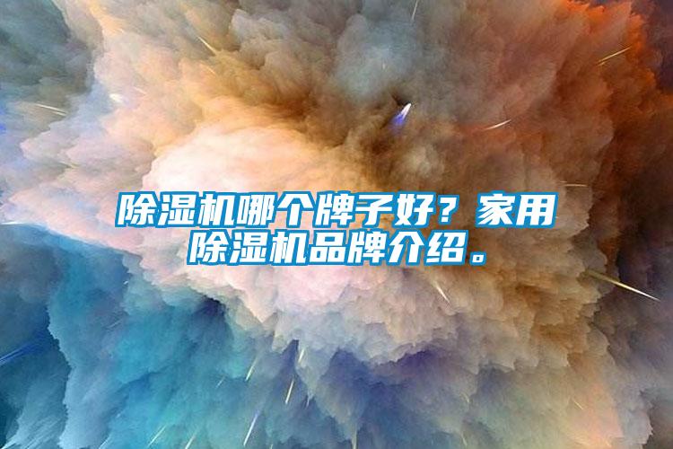 除濕機哪個牌子好？家用除濕機品牌介紹。