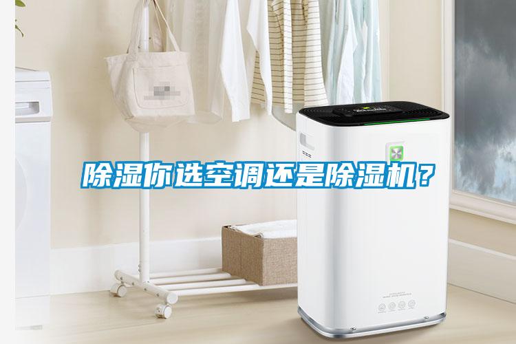 除濕你選空調(diào)還是除濕機？