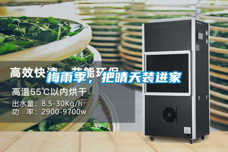 梅雨季，把晴天裝進家