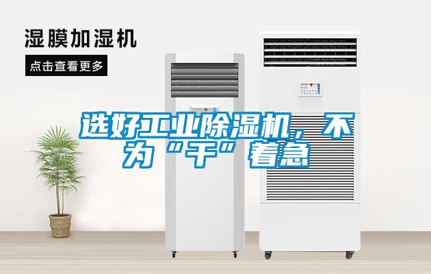 選好工業(yè)除濕機(jī)，不為“干”著急