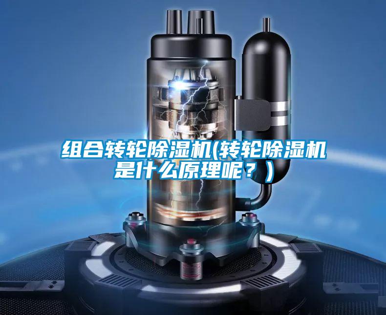組合轉(zhuǎn)輪除濕機(jī)(轉(zhuǎn)輪除濕機(jī)是什么原理呢？)