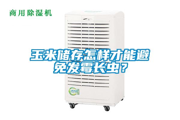 玉米儲存怎樣才能避免發(fā)霉長蟲？