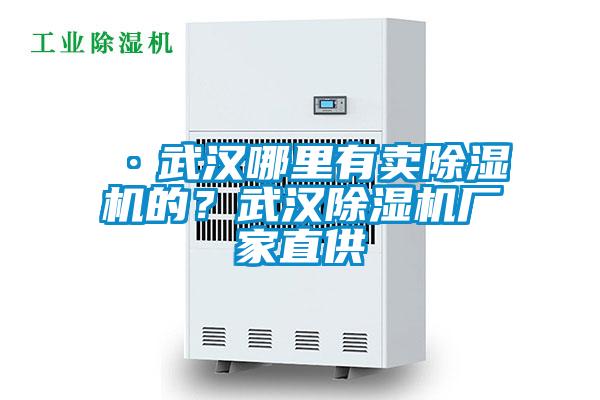 ·武漢哪里有賣除濕機(jī)的？武漢除濕機(jī)廠家直供
