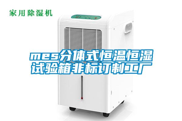 mes分體式恒溫恒濕試驗(yàn)箱非標(biāo)訂制工廠(chǎng)