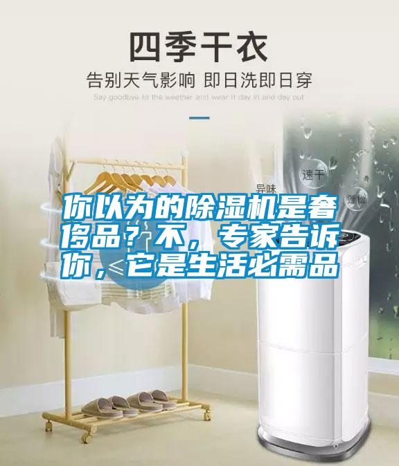 你以為的除濕機是奢侈品？不，專家告訴你，它是生活必需品