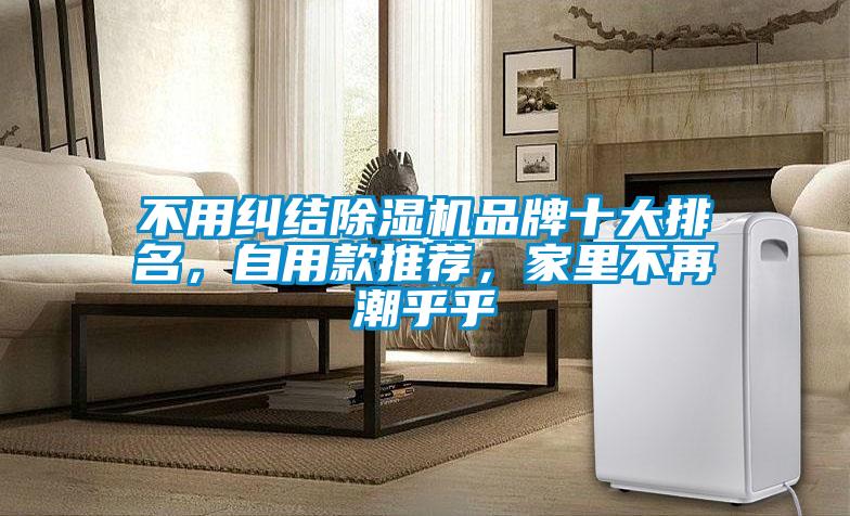 不用糾結(jié)除濕機品牌十大排名，自用款推薦，家里不再潮乎乎
