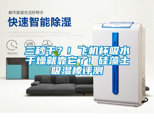 三秒干？! 飛機(jī)杯吸水干燥就靠它了! 硅藻土吸濕棒評(píng)測(cè)