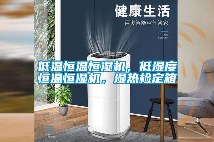 低溫恒溫恒濕機(jī)，低濕度恒溫恒濕機(jī)，濕熱檢定箱