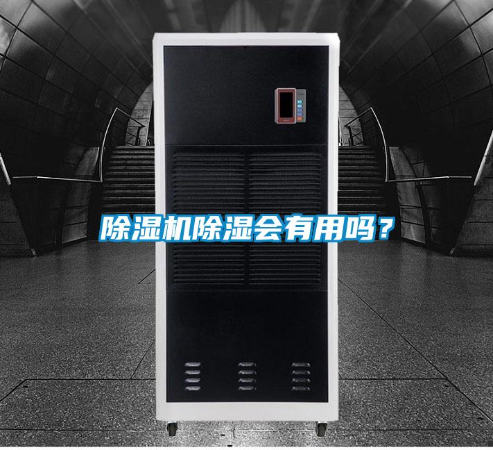除濕機除濕會有用嗎？
